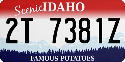 ID license plate 2T7381Z