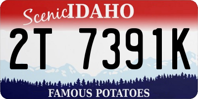 ID license plate 2T7391K