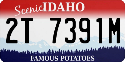 ID license plate 2T7391M