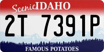 ID license plate 2T7391P