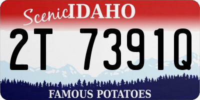 ID license plate 2T7391Q