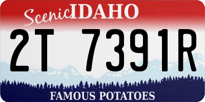 ID license plate 2T7391R