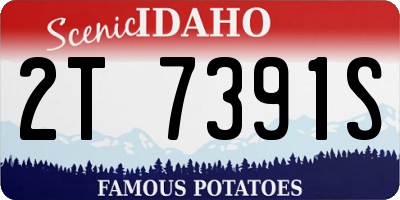 ID license plate 2T7391S