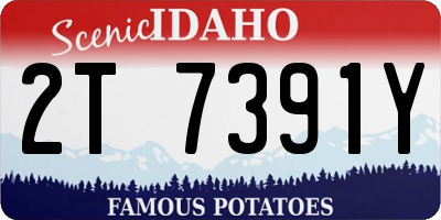 ID license plate 2T7391Y