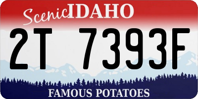 ID license plate 2T7393F