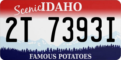 ID license plate 2T7393I
