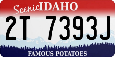 ID license plate 2T7393J