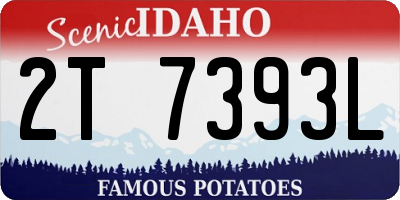 ID license plate 2T7393L