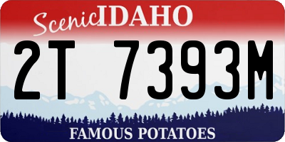 ID license plate 2T7393M