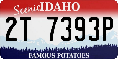 ID license plate 2T7393P
