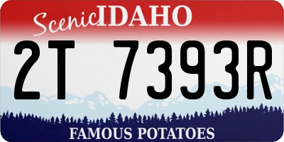 ID license plate 2T7393R