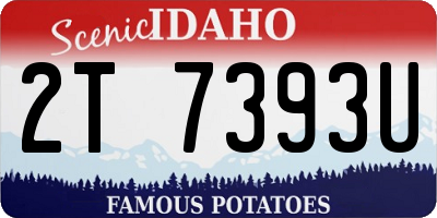 ID license plate 2T7393U