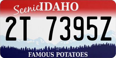 ID license plate 2T7395Z