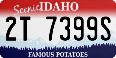 ID license plate 2T7399S