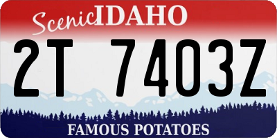 ID license plate 2T7403Z