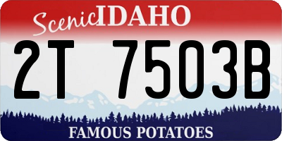 ID license plate 2T7503B