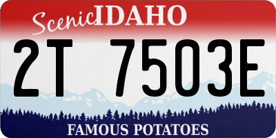 ID license plate 2T7503E