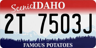 ID license plate 2T7503J