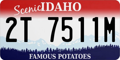 ID license plate 2T7511M