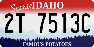 ID license plate 2T7513C