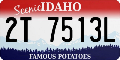 ID license plate 2T7513L