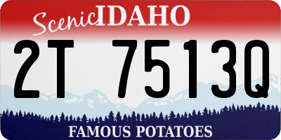 ID license plate 2T7513Q