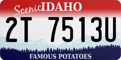 ID license plate 2T7513U