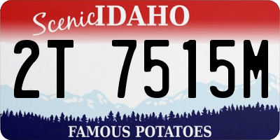 ID license plate 2T7515M