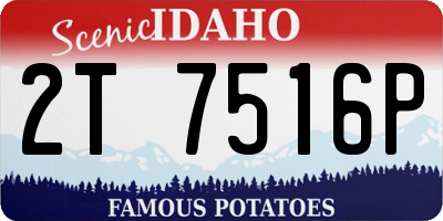 ID license plate 2T7516P