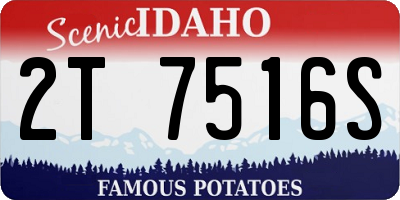 ID license plate 2T7516S