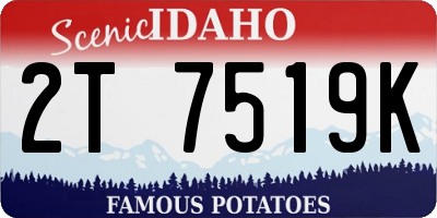 ID license plate 2T7519K
