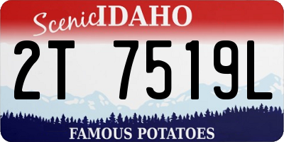 ID license plate 2T7519L