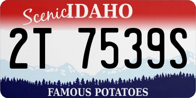 ID license plate 2T7539S