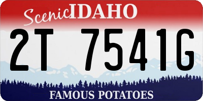 ID license plate 2T7541G