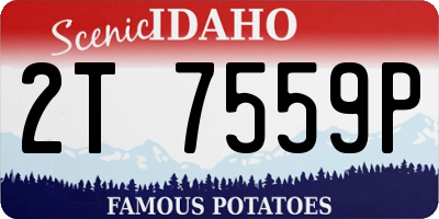 ID license plate 2T7559P