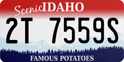 ID license plate 2T7559S