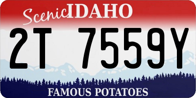 ID license plate 2T7559Y