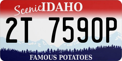 ID license plate 2T7590P