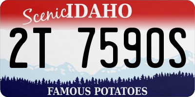 ID license plate 2T7590S