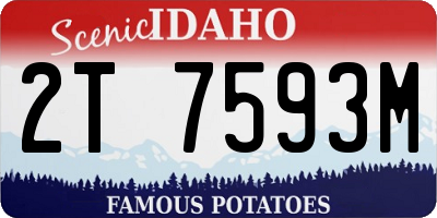 ID license plate 2T7593M