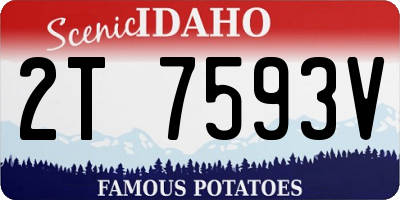ID license plate 2T7593V