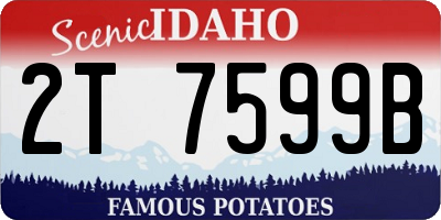 ID license plate 2T7599B