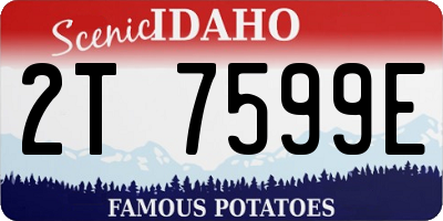 ID license plate 2T7599E