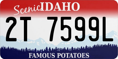 ID license plate 2T7599L
