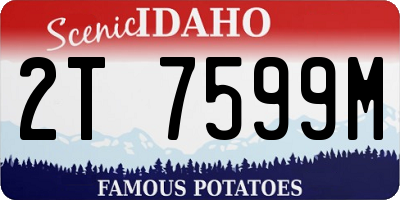 ID license plate 2T7599M