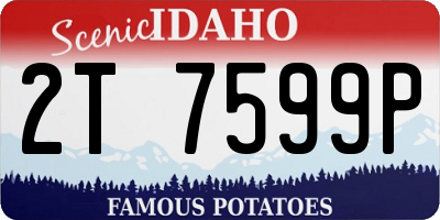 ID license plate 2T7599P