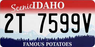 ID license plate 2T7599V