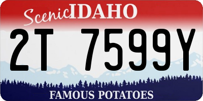 ID license plate 2T7599Y