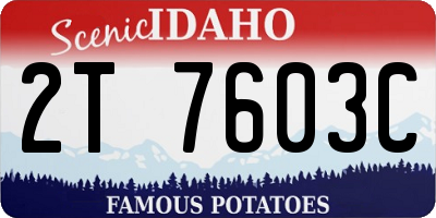 ID license plate 2T7603C