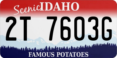 ID license plate 2T7603G
